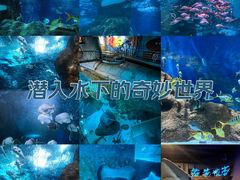 -大连圣亚海洋世界