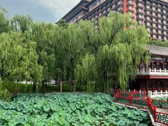 -大明幻境第一城