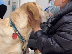 -美联众合动物医院·24h京西诊疗中心