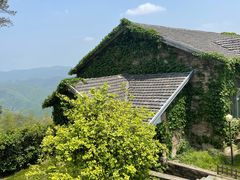-莫干山风景区