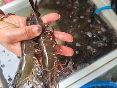 -盛华世家商业广场农贸水产综合批发市场