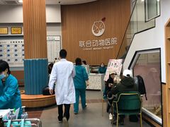 -联合动物医院(光谷诊疗中心)