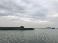 -太湖湖滨国家湿地公园-停车场