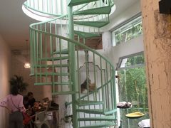 -有猫主题·治愈系猫咖(曾厝垵店)
