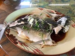 -润记农家菜