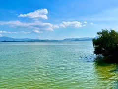 -深圳湾公园(南山区)
