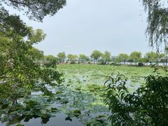 -无锡蠡湖国家湿地公园-蠡园