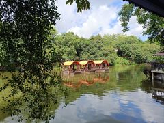 -侨美·唐荔园·40年地道粤菜