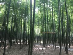 -陶祖圣境风景区