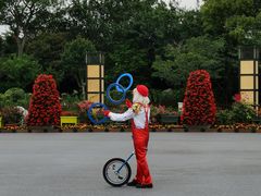 -荷兰花海