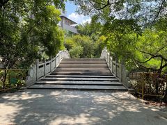 -小洲村