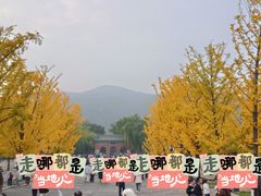 -晋祠公园