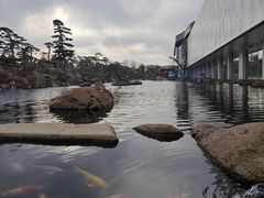 -罗红摄影艺术馆