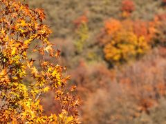 -鬼笑石后山停车场