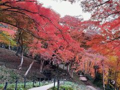 -比叡山