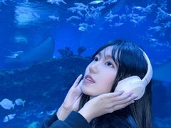 -海合安成都极地海洋公园