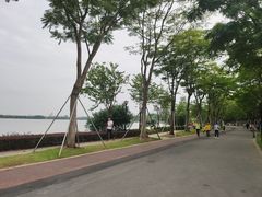 -顺峰山公园