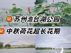 -澹台湖公园