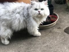 -大洋晶典(东街店)