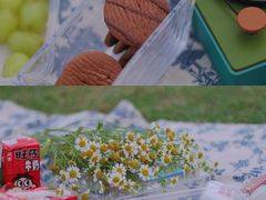 -二沙岛艺术公园