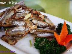 葱姜蛏子-秦臻海鲜农家乐(奉贤店)