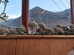 -四姑娘山阿巴郎·藏式花园餐厅