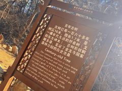 -金龙寺国家森林公园