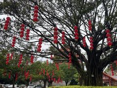 -广州莲花山旅游区