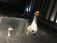 -眉州东坡(通州店)