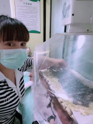 -伊童美家小儿推拿·中式养生(徐汇店)