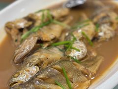 大黄花-良友·海鲜青岛菜(五四广场店)