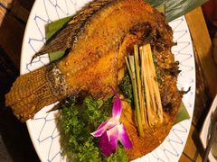 -紫滇源云南生态菜(丹凤街店)