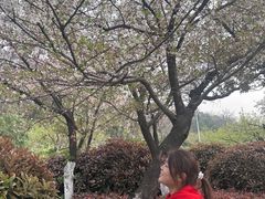 -云龙山