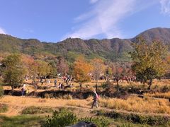 -塔川景区