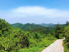 -金龙寺国家森林公园