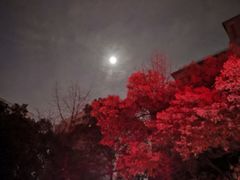 -院子餐厅·大锅菜·老杭帮(桥西直街店)