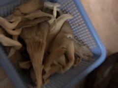 平菇-梅红羊肉馆(赭山西路店)