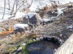 -长白山红松王滑雪场