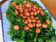 花生菠菜-十二忠手拉面(中华路店)