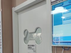 -天使宠物医院·犬猫分诊(彩虹店)