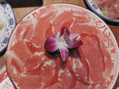 -楠火锅(仁恒梦中心店)