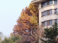 -春晖园度假酒店温泉