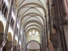 -上海佘山国家森林公园西佘山园