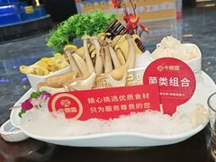 -牛鼎盛新疆雪花鲜牛火锅(武夷绿洲 店)