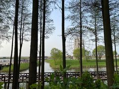 -苏州太湖国家湿地公园
