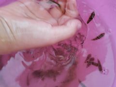 -营口金泰珑悦海景大酒店