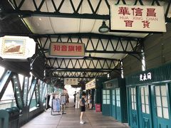 -武汉知音号