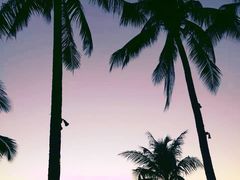 -白沙滩