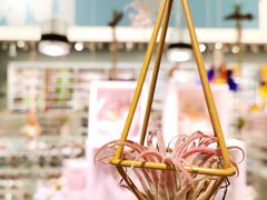 -KKV(深圳kk one 店)