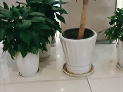 -鮨清日本料理